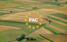 PAC