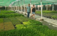 biodiversidad-1-control-plant