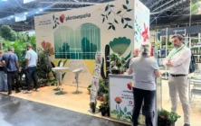 plantaespana