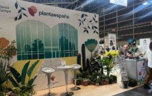 plantaespana-iberflora