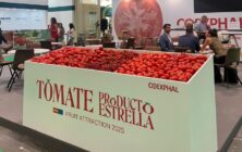 tomate-prodcuto-estrella