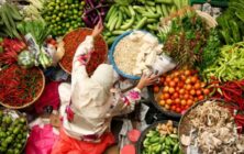 vegetales-mundo