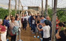 curso-coexphal-triodos