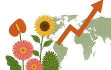 exportacion-flores-y-plantas