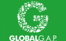 global-gap-ifa