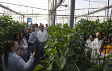 jornada-agrostest-cajamar-las-palmerillas-1
