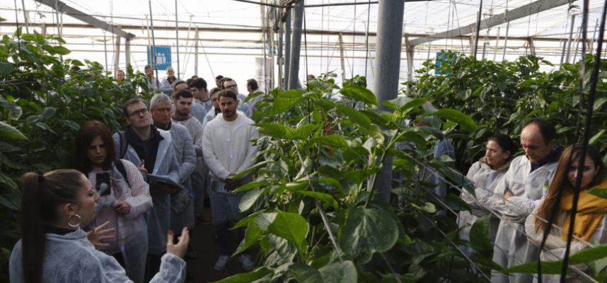 jornada-agrostest-cajamar-las-palmerillas-1