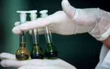 laboratorio-vegetal