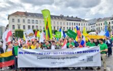 manifestacion-bruselas