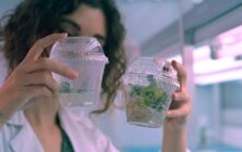 nuevas-tecnicas-genomicas