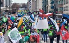 proteta-bruselas