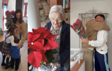 regala-flor-de-pascua-3