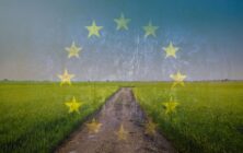 campo-europeo