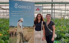 codecs
