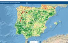mapa-vegetacion