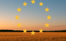 campo-europeo