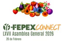 foto-fepex