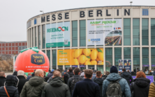 fruit-logistica-2