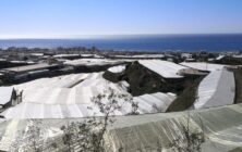 invernaderos
