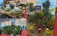 plantaespana-ipm-essen