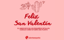 plantaespana