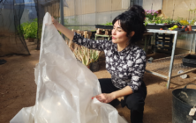 plastico-arte-cecilia-1