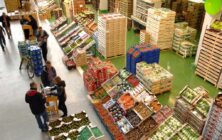 Sector-Frutas-y-Hortalizas-EmpresaExportadora-Mercabarna