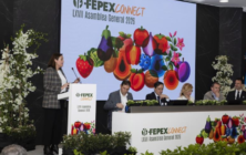 fepex-asamblea