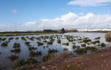lluvias-Andalucia