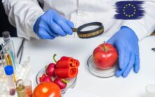 seguridad-alimentaria