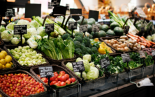Exportacion_Frutas-y-hortalizas