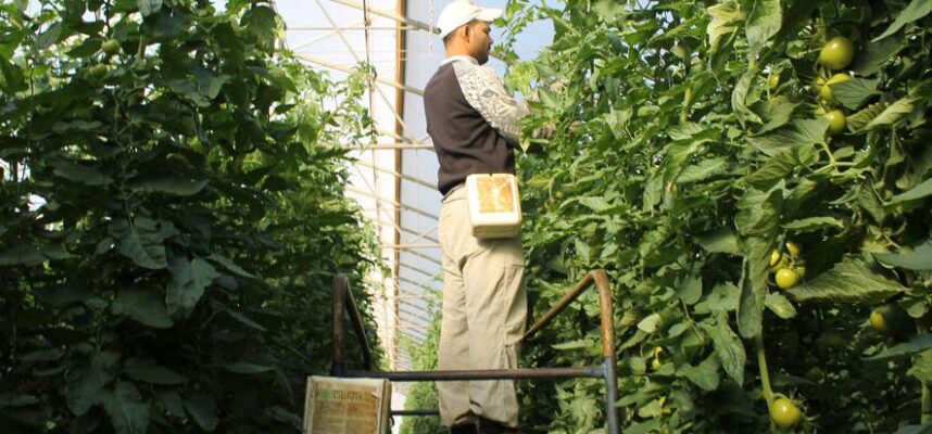 INMIGRANTES-NOTICIA