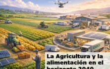 cartel-jornada-agricultura