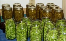 conserva-vegetal