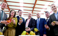 expolevante-2026