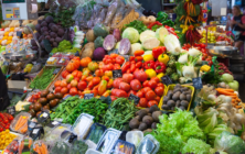 exportacion-frutas-hortalizas