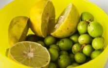 limones-uvas-aceitunas