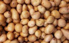 patatas