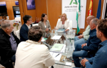 andalucia-ornamental (1)