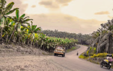 banana-oxfam