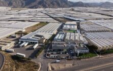 centro-syngenta-vista-aerea