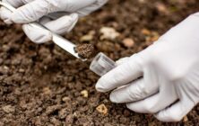 investigacion-suelo