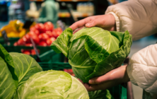 lechuga-supermercado