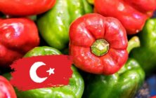 pimientos-turquia
