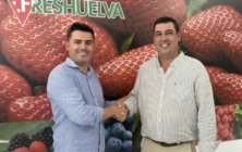 freshuelva