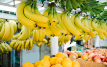 fruta-importacion