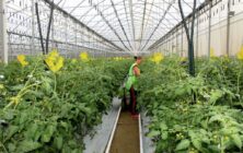 Mujer-joven-agricultura-1