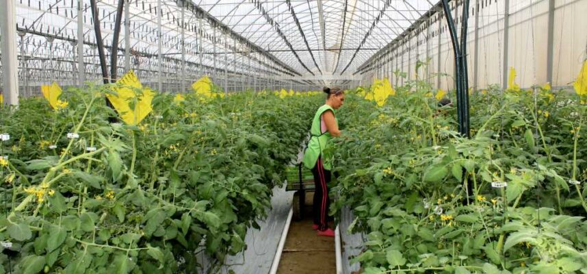 Mujer-joven-agricultura-1