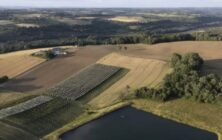 campo-frances