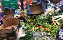 desperdicio-alimentario